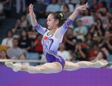 PG中国官网-包含体操项目表演出色，选手飘逸优美的词条